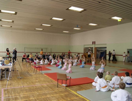 Турнир по ката „Dankezu-Kata“ – 19.05.2012 – Додзё, Берлин