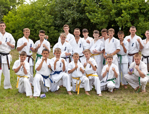 Показательное выступление СТАРШЕЙ группы – Германо-российский форум 16.06.2013