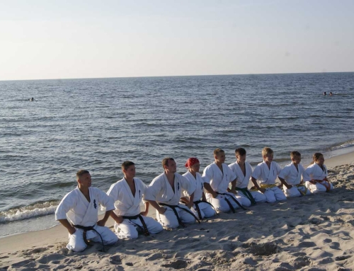 Восстановительно-спортивно-военные сборы клубов Danzu, Dankezu и Кумадэ. Фестиваль боевых искусств и спорта –  Балтийская Коса, Россия – июль, 2013