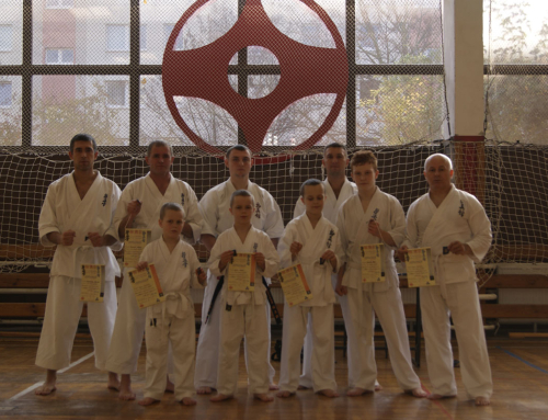 Квалификационные экзамены 29.10.11 – Берлин, Додзё