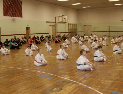 С Новым Годом, Друзья! Берлин, Додзё – 29.12.2011