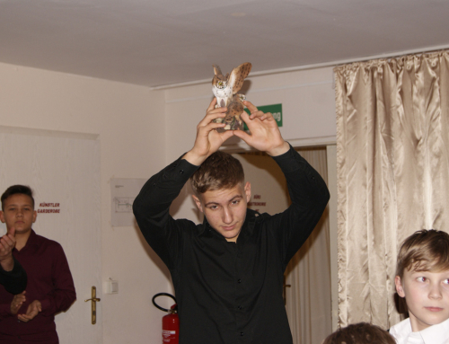 Что? Где? Когда?