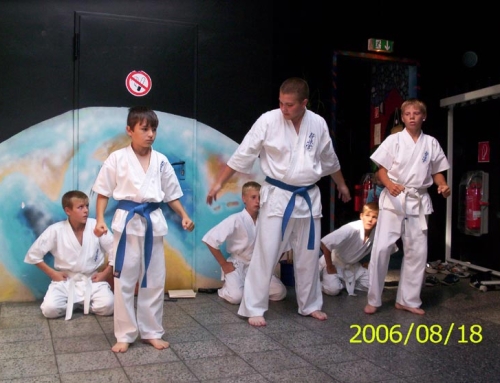 Показательные выступления клуба