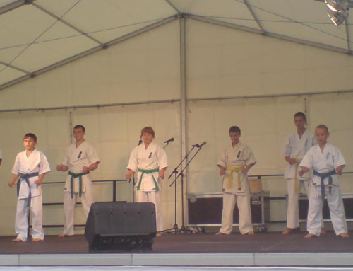 Показательное выступление  В Берлине – 01 сентября 2007