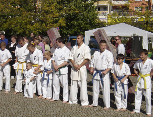 Показательные выступления клуба