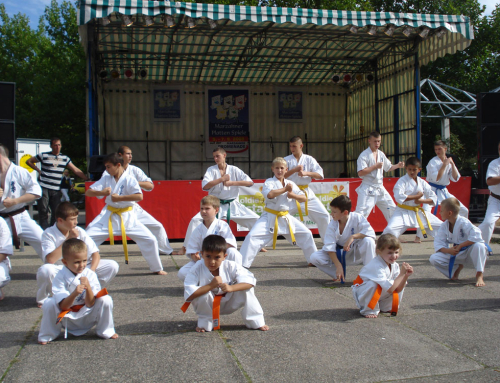 Показательное выступление клуба