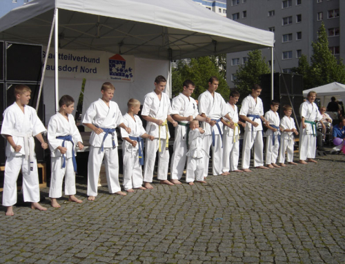 Показательное выступление