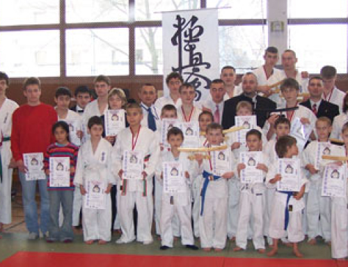 Второй детско-юношеский турнир клуба ‚Dankezu‘ // 36 участников, 7 команд