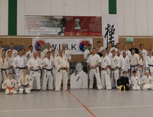 Семинар по Будо-кай каратэ Организации WIBK