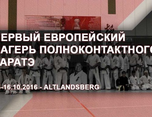 Семинар по Будо-кай каратэ Организации WIBK