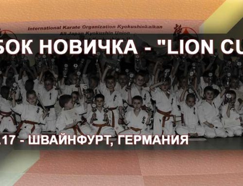 Кубок новичка – Lion Cup