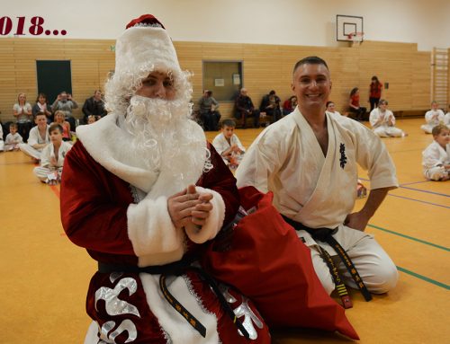 Заключительная тренировка 2018-го года