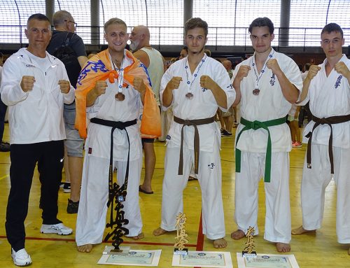 Чемпионат МИРА IFK