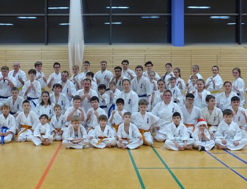 Заключительная тренировка года