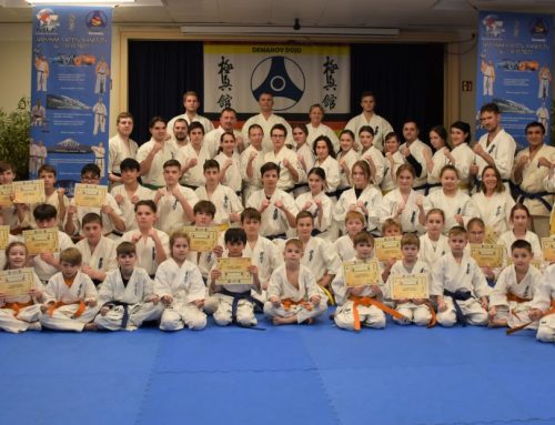 Зимние семинары – „4 стихии“