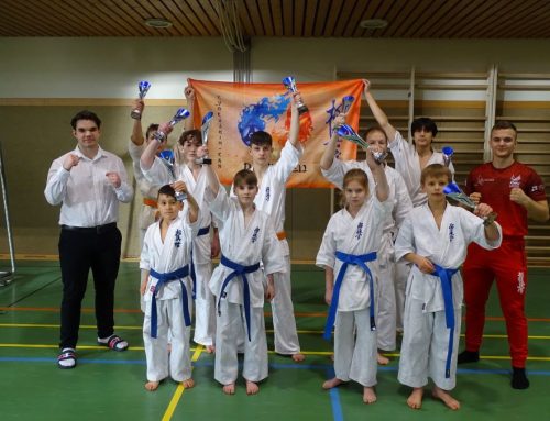 Кубок новичков – Tekken Dojo