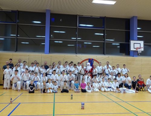 Заключительная тренировка года