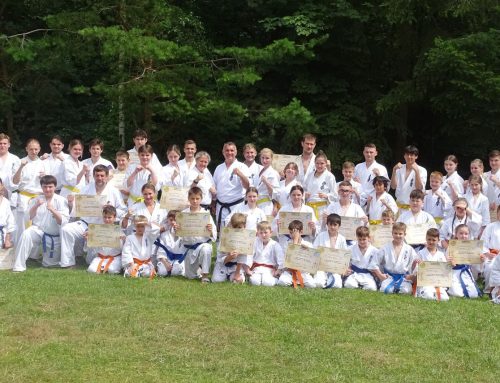 Летний лагерь школы Dankezu