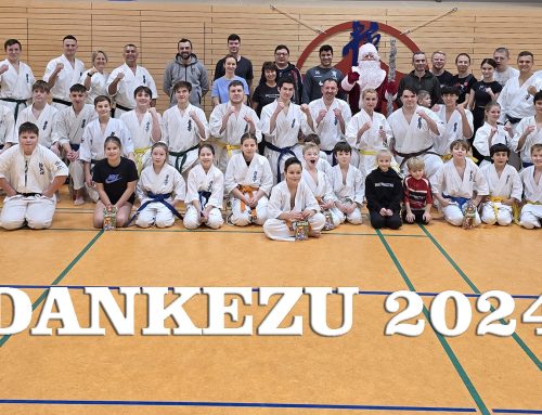 Заключительная тренировка года