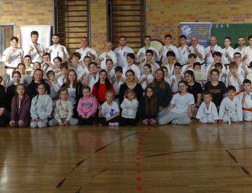 Зимняя школа Dankezu